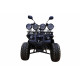 Электроквадроцикл 60V 750W Черный